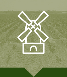 lewisseely-agricultural