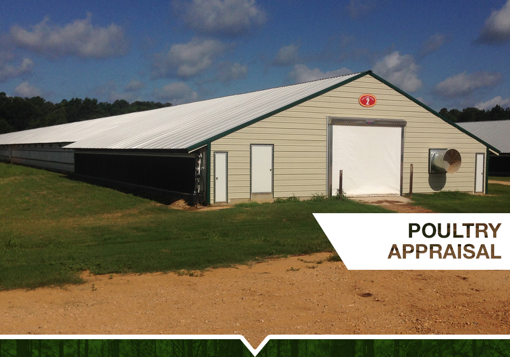 lewis-seely-slide-10