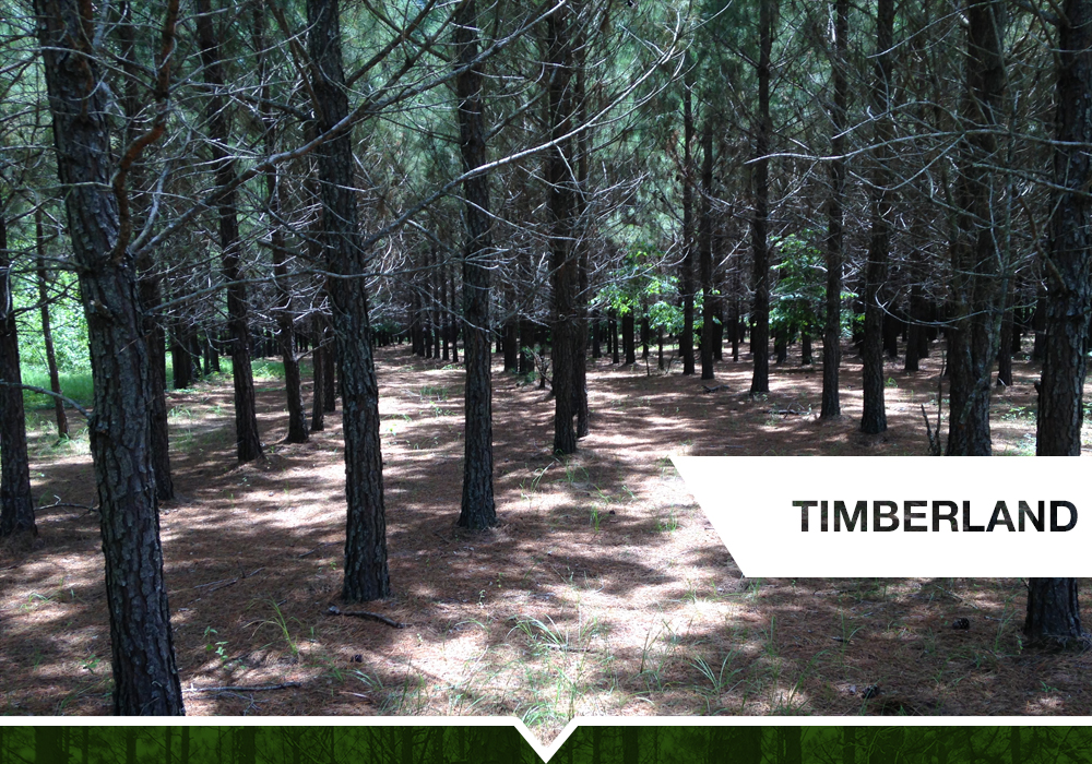 lewis-seely-slide-12