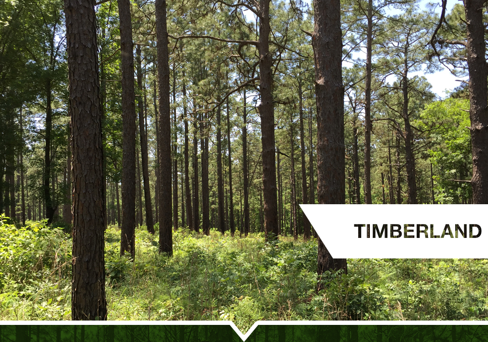 lewis-seely-slide-13