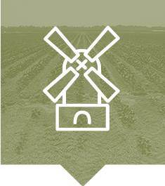 lewisseely-agricultural